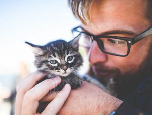 Read more about the article How To Show Love To Your Cat