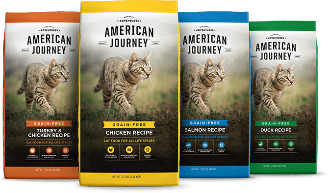 Cat Cornbread Can Cats Eat Cornbread? – Planet Feline