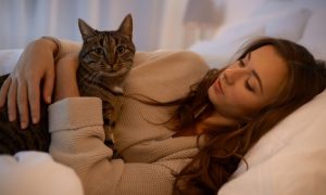 Read more about the article How Do Cats Improve Your Health?